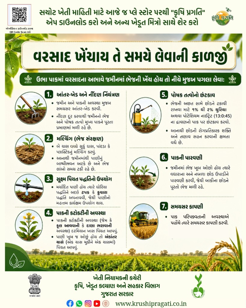 વરસાદ ખેંચાઈ તે સમયે લેવાની કાળજી